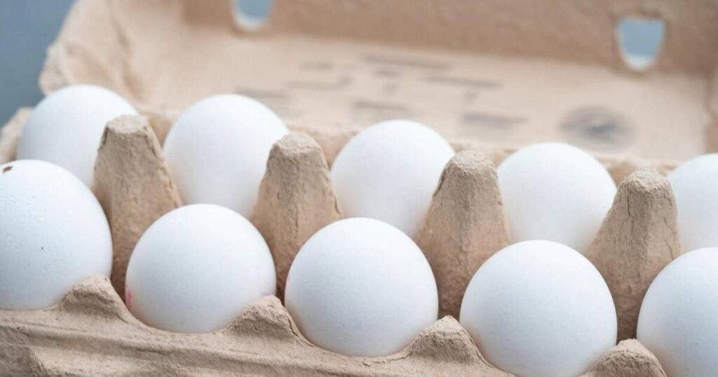 DOJ-investigates-US-egg-producers-amid-soaring-prices.jpg