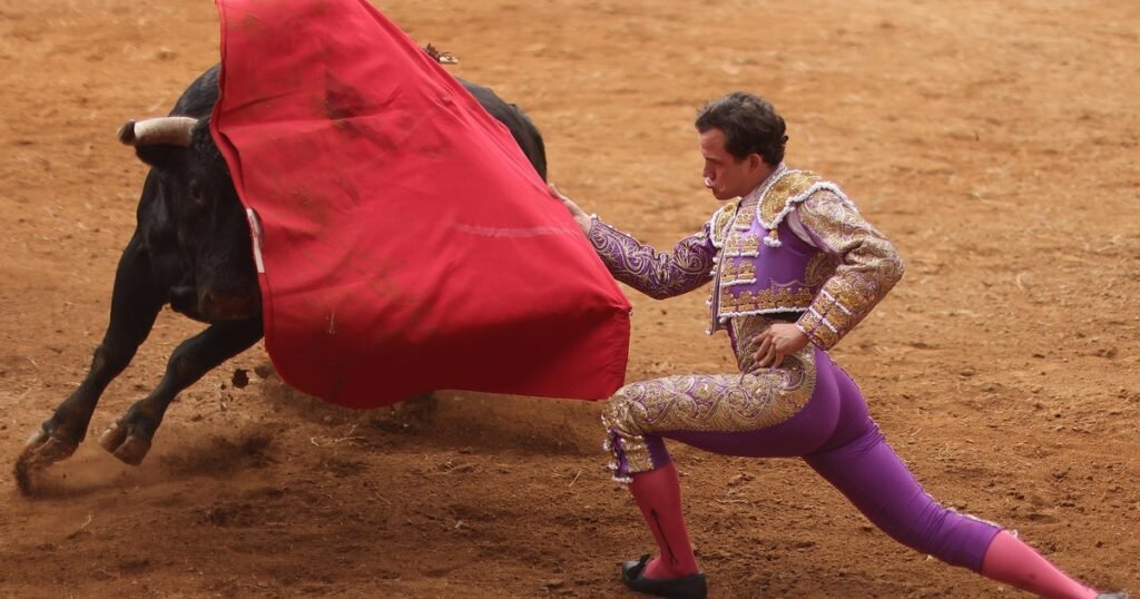 Mexico-City-bans-violent-bullfighting-in-bid-to-keep-the.jpg