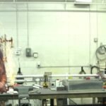 Eye-on-America-Small-business-tries-four-day-work-week.jpg
