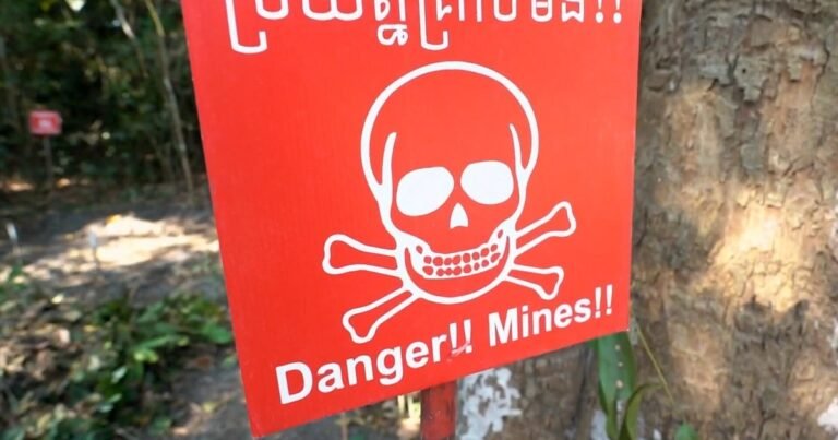 Inside-the-dangerous-mission-to-find-and-clear-landmines-in.jpg