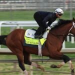 Meet-the-Kentucky-Derby-horses-running-in-the-2025-race.jpg