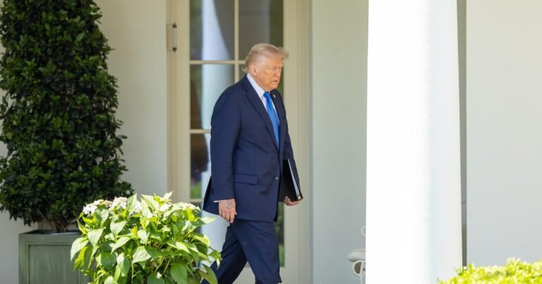 Trump-says-I-dont-know-Im-not-a-lawyer-if.jpg