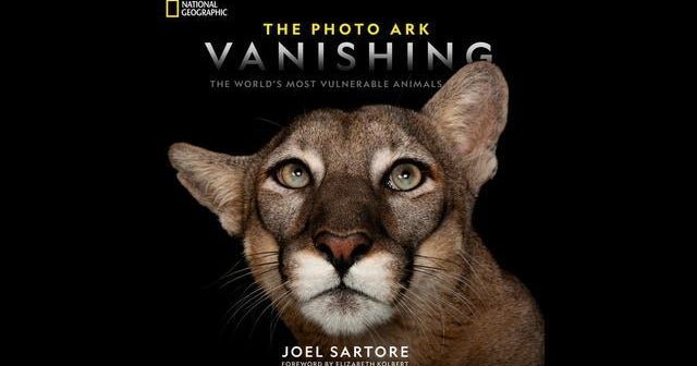 A-wake-up-call-on-saving-endangered-species.jpg
