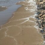 Beaches-in-Spains-Valencia-region-closed-after-unknown-material-washes.jpg