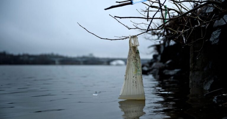 Do-plastic-bag-bans-and-fees-work-A-new-study.jpg