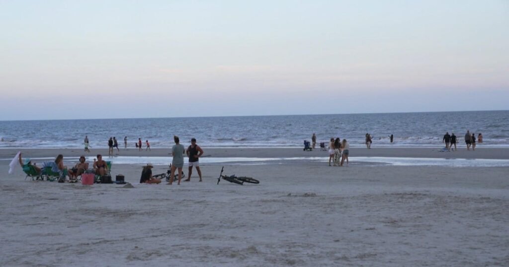 Early-summer-shark-bites-prompt-beach-safety-warnings.jpg