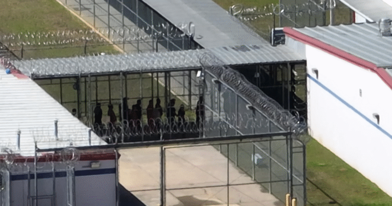 ICE-detentions-of-non-criminal-immigrants-spike-about-8-have-violent.png