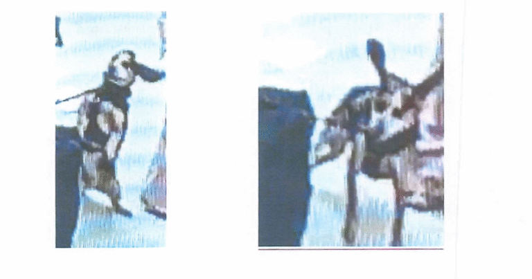 Man-accused-of-kicking-K9-at-Dulles-International-Airport-so.png