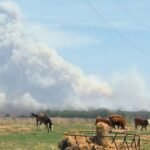 More-than-170-wildfires-burn-in-Canada.jpg
