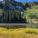 Sen-Mike-Lee-removes-public-lands-provision-from-Trumps-big.jpg