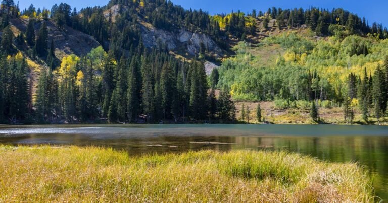 Sen-Mike-Lee-removes-public-lands-provision-from-Trumps-big.jpg