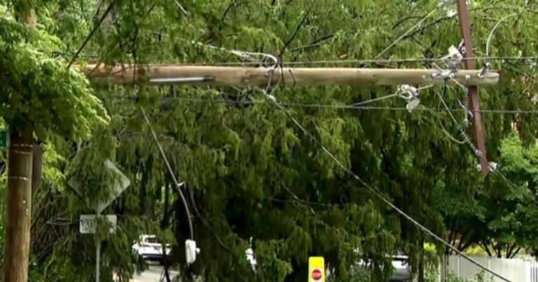 Storms-knock-out-power-across-East-Coast-as-heat-wave.jpg