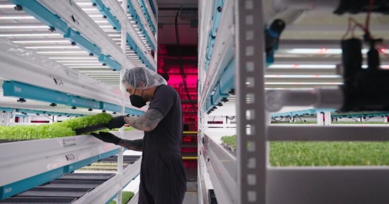 2-first-generation-entrepreneurs-are-redefining-farm-to-table-dining.jpg
