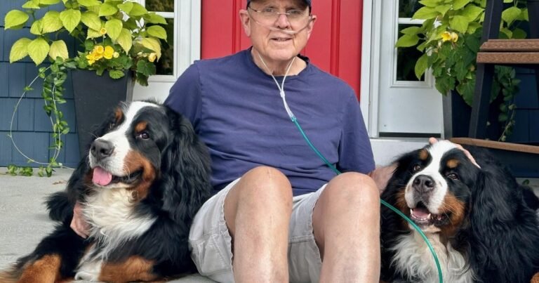 A-dog-trainer-had-no-symptoms-A-scan-of-his.jpg