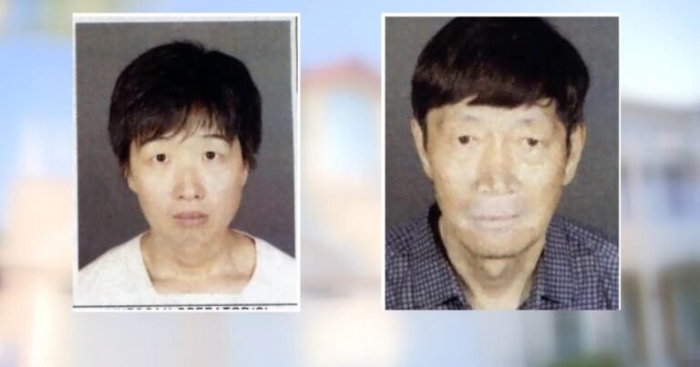 Couple-investigated-over-potential-surrogacy-scam-as-21-kids-are.jpg
