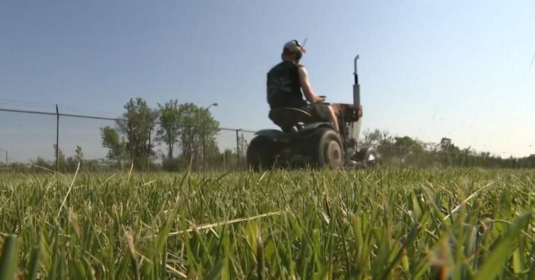 Detroit-lawnmower-gang-still-going-strong-after-15-years.jpg