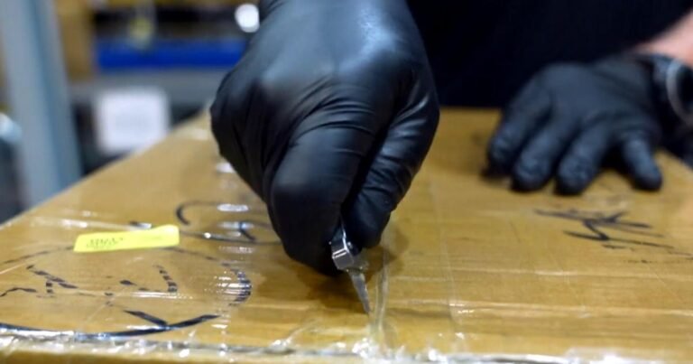 Inside-the-rarely-seen-US-customs-screening-process-for-drugs.jpeg
