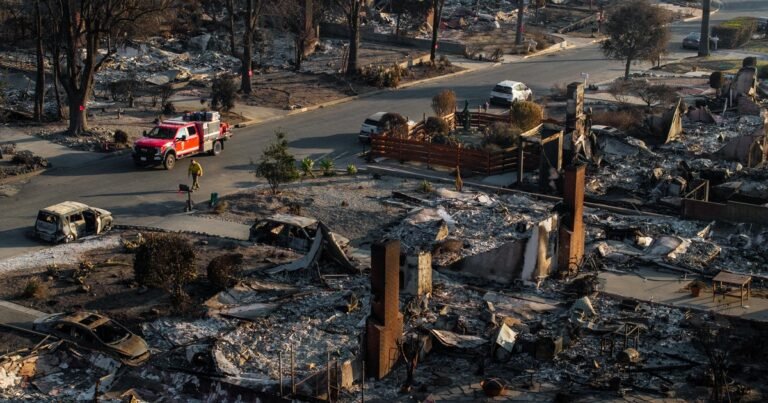 Natural-disasters-have-caused-more-than-131-billion-in-losses.jpg