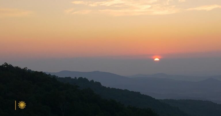Nature-Shenandoah-National-Park-in-Virginia.jpg