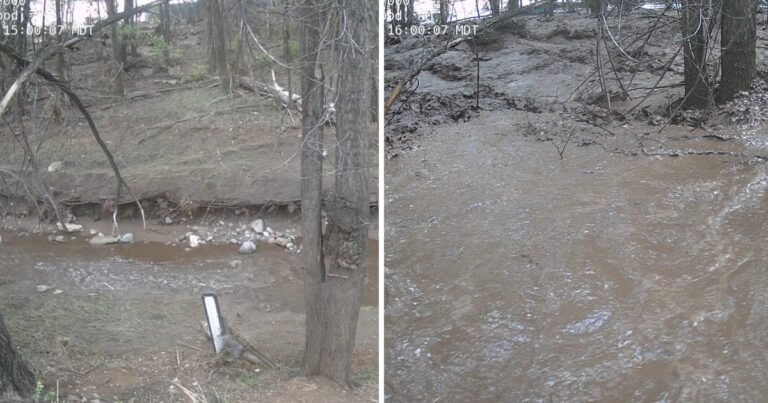 New-Mexico-flash-flooding-emergency-declared-multiple-rescues-underway.jpg