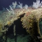 Severed-bow-of-famed-US-ship-torpedoed-in-WWII-found.jpg
