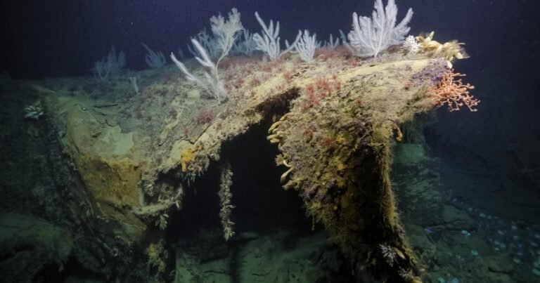 Severed-bow-of-famed-US-ship-torpedoed-in-WWII-found.jpg