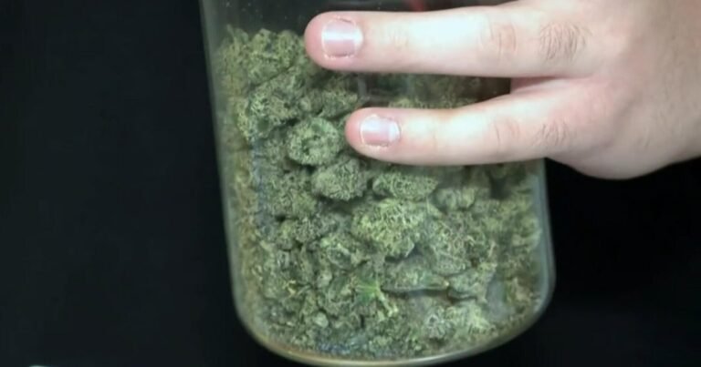 Texas-lawmakers-going-after-hemp-again-after-governors-veto.jpg