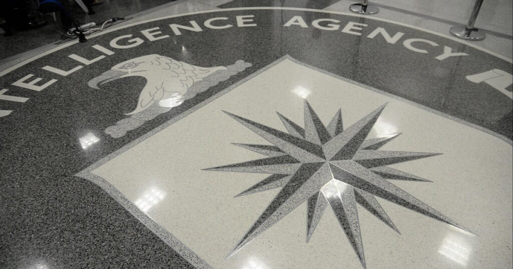 The-role-of-the-CIA-in-2025.jpg