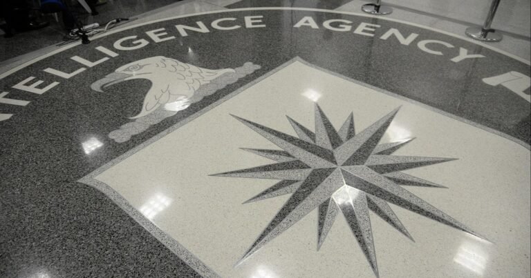 The-role-of-the-CIA-in-2025.jpg