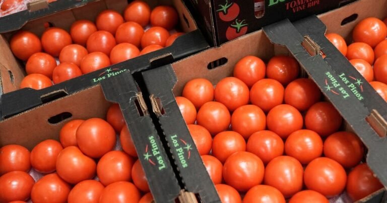 Trump-administration-imposes-17-tariff-on-fresh-Mexican-tomatoes.jpg