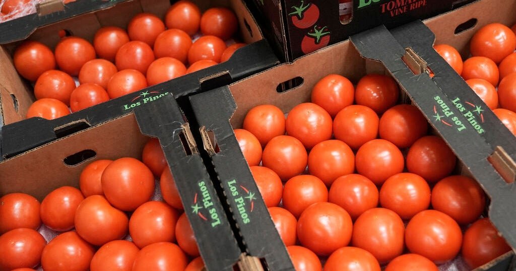 Trump-administration-imposes-17-tariff-on-fresh-Mexican-tomatoes.jpg