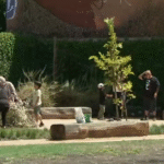 How-green-spaces-can-help-get-kids-outside-and-keep.png