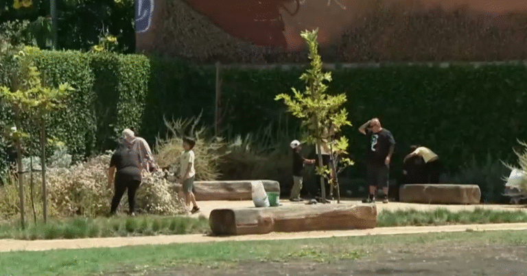 How-green-spaces-can-help-get-kids-outside-and-keep.png
