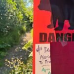 Jogger-in-Alaska-seriously-injured-after-bear-attacks-her-drags.jpg