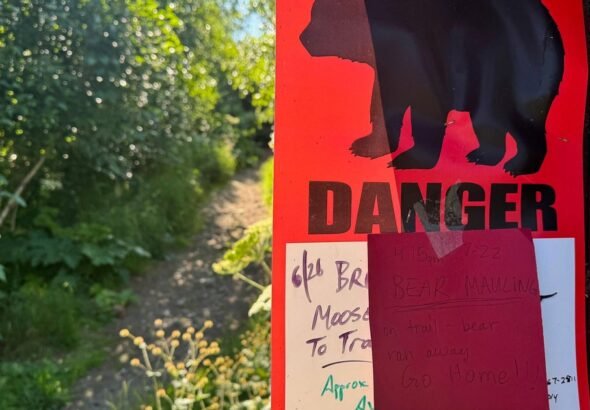 Jogger-in-Alaska-seriously-injured-after-bear-attacks-her-drags.jpg