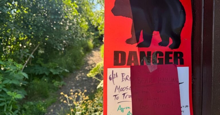 Jogger-in-Alaska-seriously-injured-after-bear-attacks-her-drags.jpg
