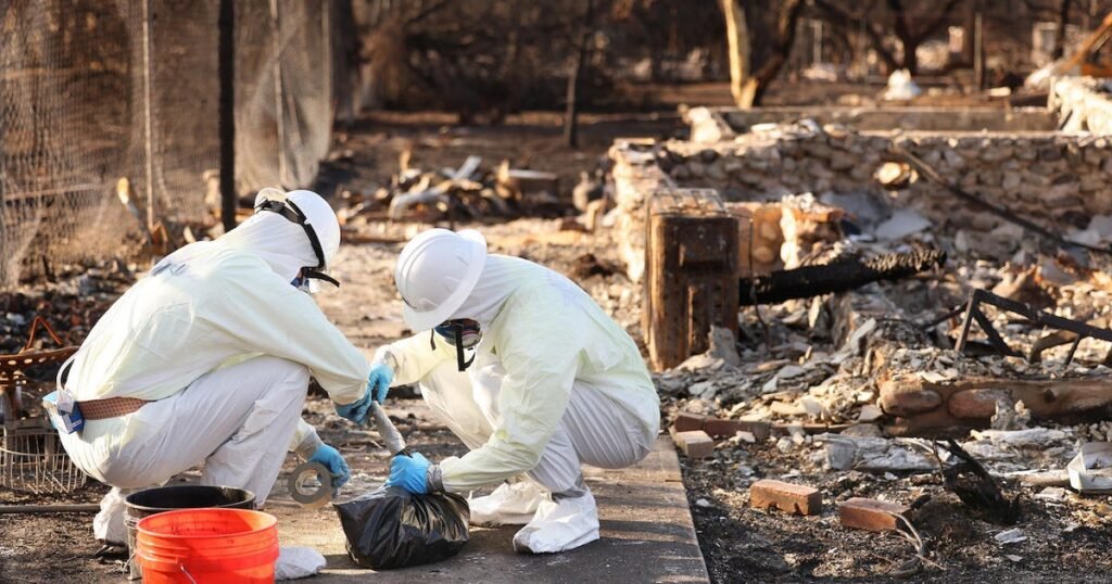LA-fires-led-to-more-than-400-additional-deaths-study.j.jpeg