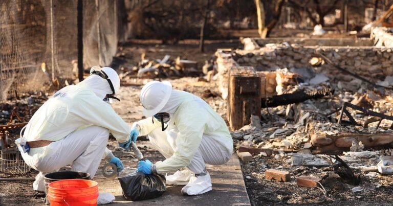 LA-fires-led-to-more-than-400-additional-deaths-study.j.jpeg