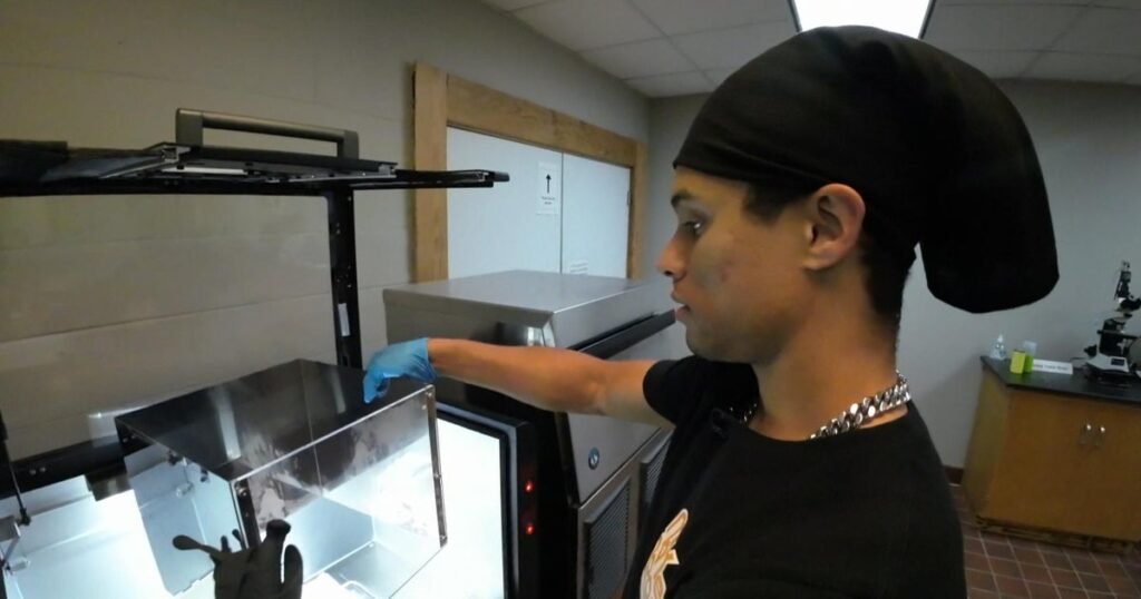 LSU-grad-transforms-his-disability-into-a-game-changing-career.jpg