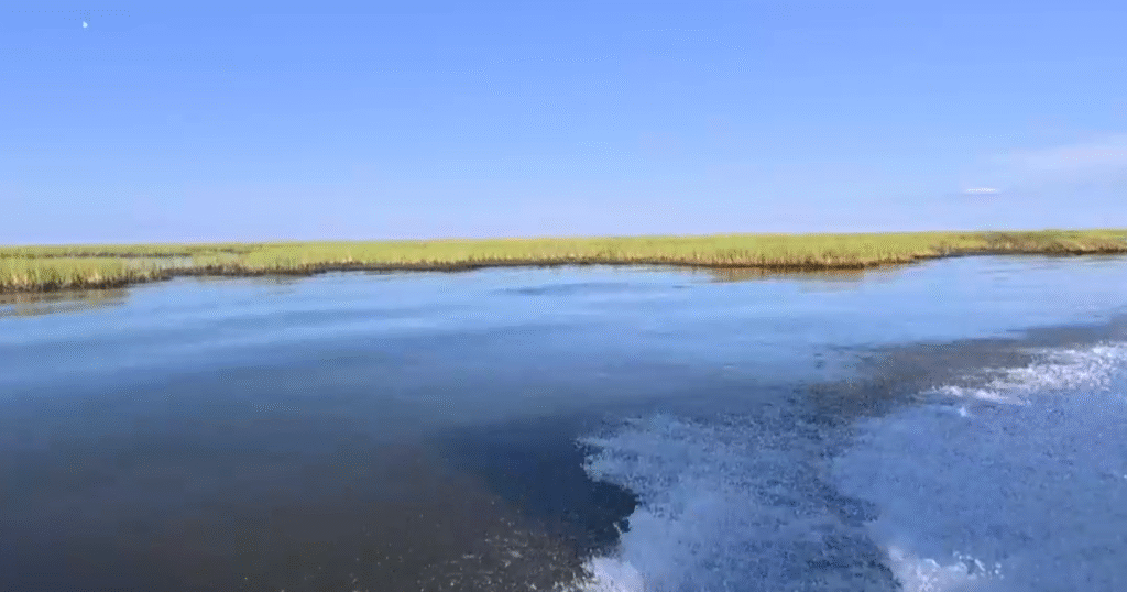 Louisiana-scraps-coastal-erosion-project-designed-to-rebuild-the-states.png
