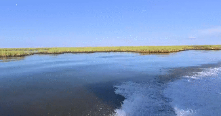 Louisiana-scraps-coastal-erosion-project-designed-to-rebuild-the-states.png