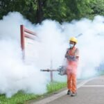 US-warns-travelers-about-chikungunya-virus-spread-by-mosquito-bites.jpg
