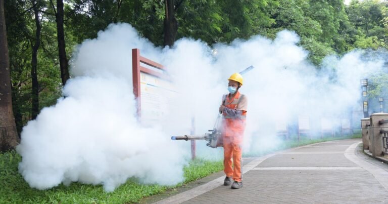 US-warns-travelers-about-chikungunya-virus-spread-by-mosquito-bites.jpg