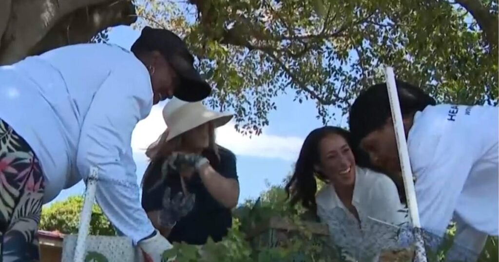 Urban-garden-helps-combat-food-insecurity-in-Miami.jpg