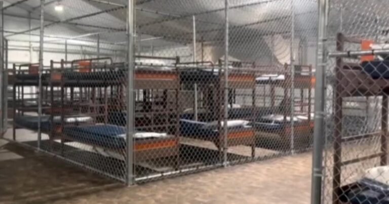 What-detainees-say-about-legal-rights-inside-Alligator-Alcatraz.jpg
