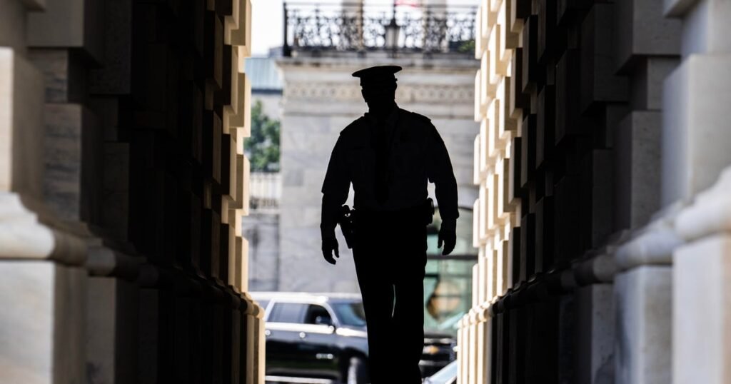 White-House-signals-increase-in-federal-law-enforcement-in-DC.jpg