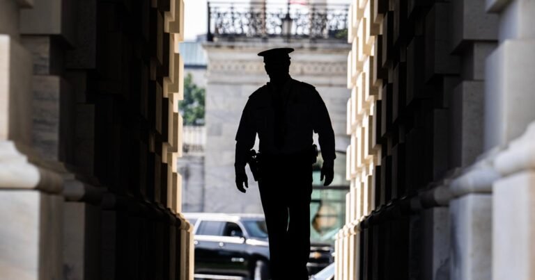 White-House-signals-increase-in-federal-law-enforcement-in-DC.jpg